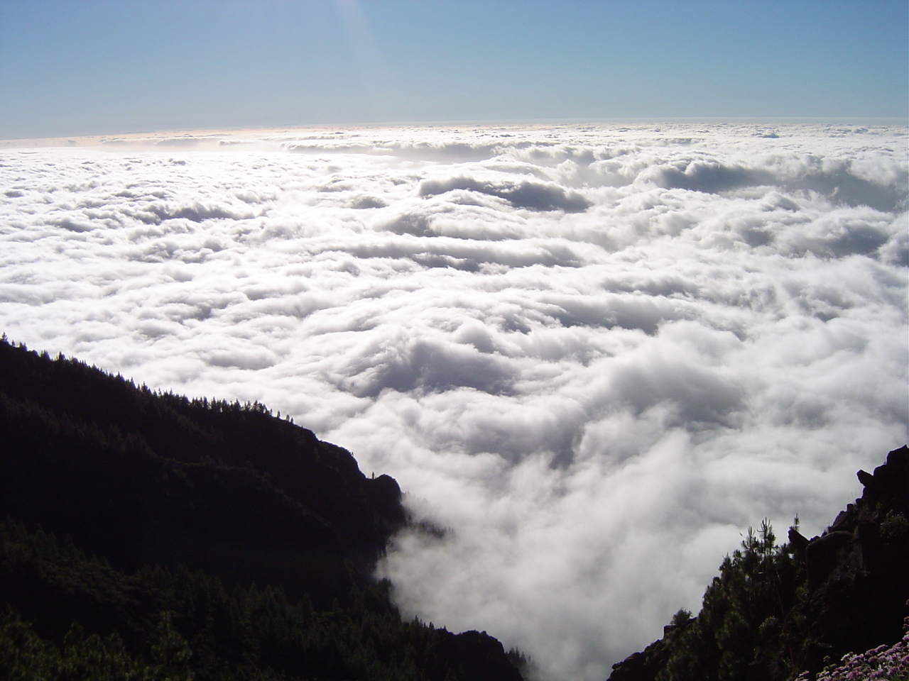 资料照：特内里费云海（历史照片，非本次降雨）；Miguel Ángel Caro Bayo / Wikimedia Commons，CC BY-SA 3.0。