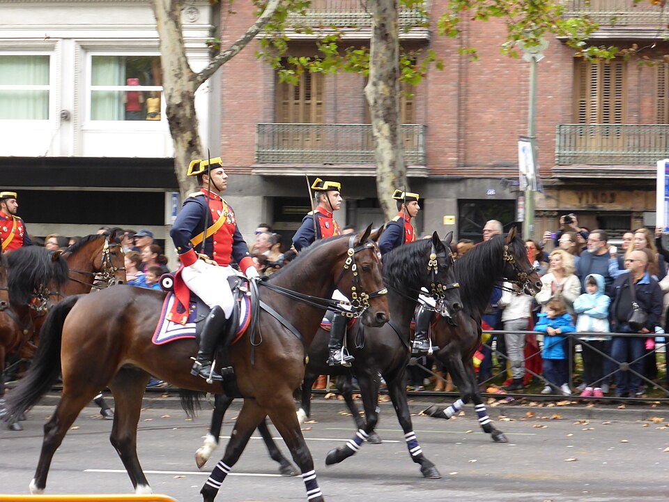 实拍/Foto: desfile del 12 de octubre en el Paseo del Prado, Madrid (2014); Carlos Teixidor Cadenas, CC BY-SA 4.0; Wikimedia Commons.