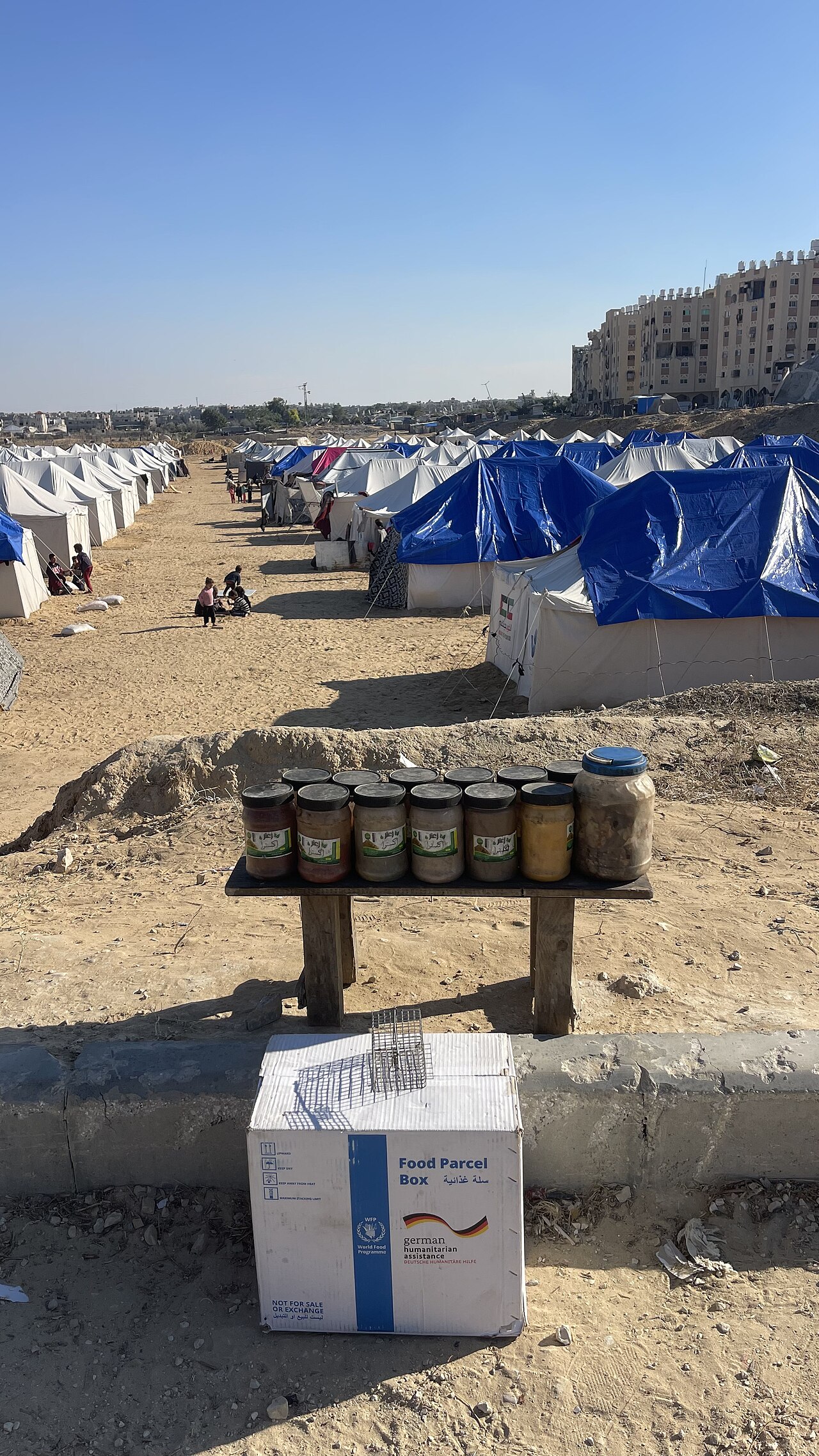 加沙流离失所者领取援助食品;Jaber Jehad Badwan/Wikimedia Commons,CC BY-SA 4.0;2024年实拍,非本次发放。